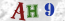 Güvenlik Resmi